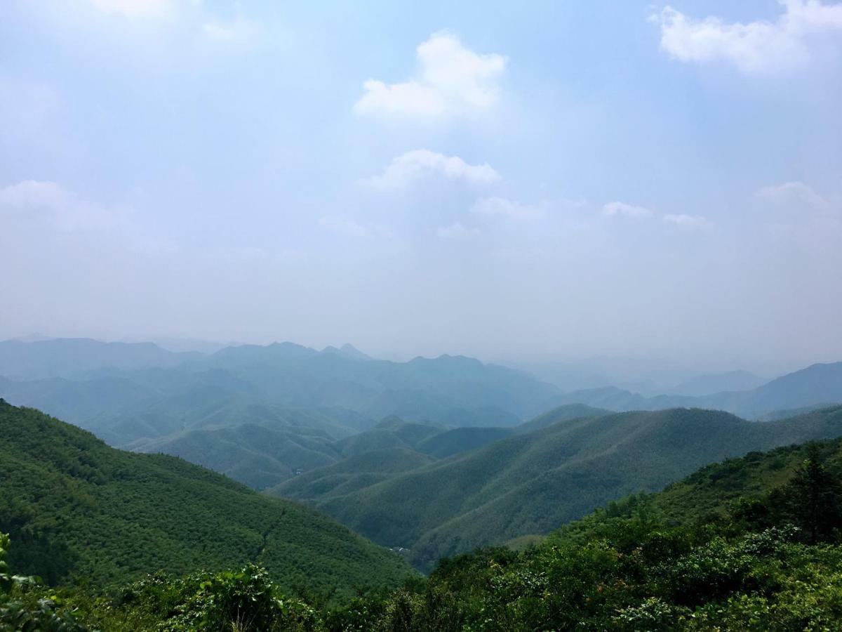 Moganshan Bamboo View Guesthouse Deqing Bagian luar foto