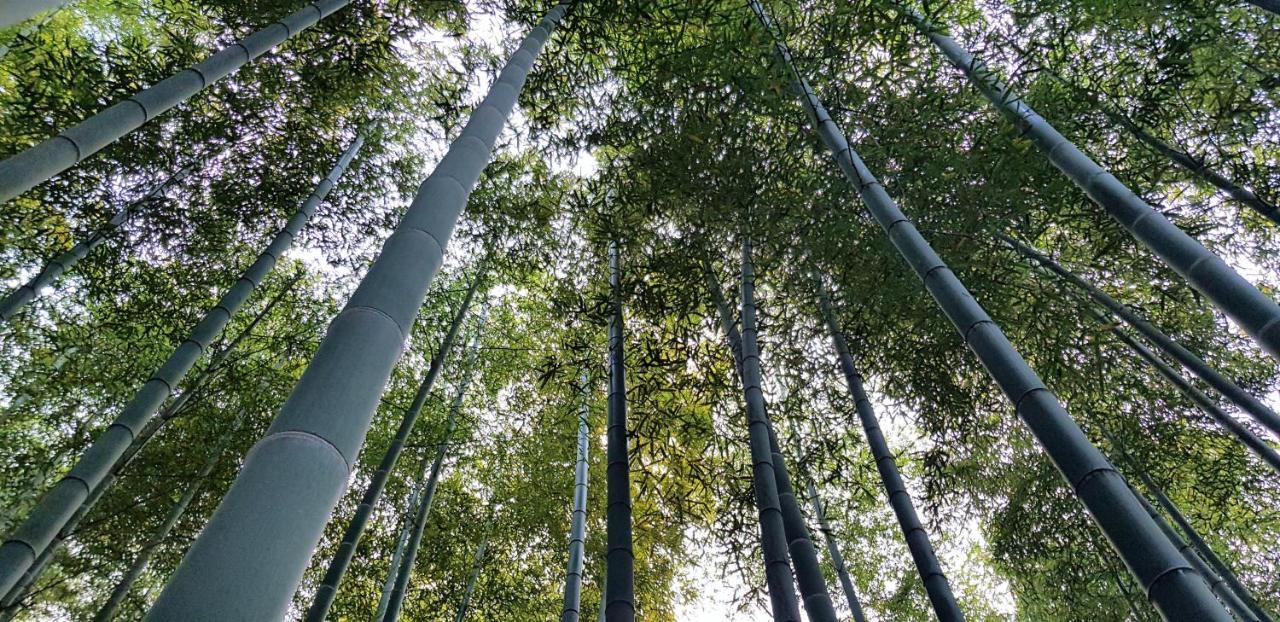 Moganshan Bamboo View Guesthouse Deqing Bagian luar foto